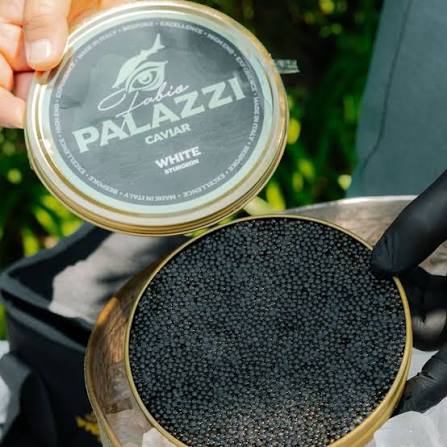 Palazzi Caviar — immagine del brand